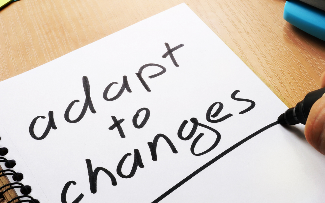 Adaptation : la clé pour un entrepreneuriat agile et résilient 