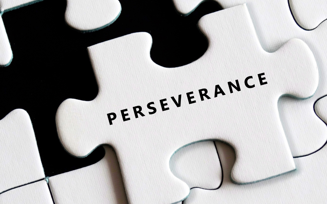 Persévérance : la clé pour transformer les défis en réussites durables 