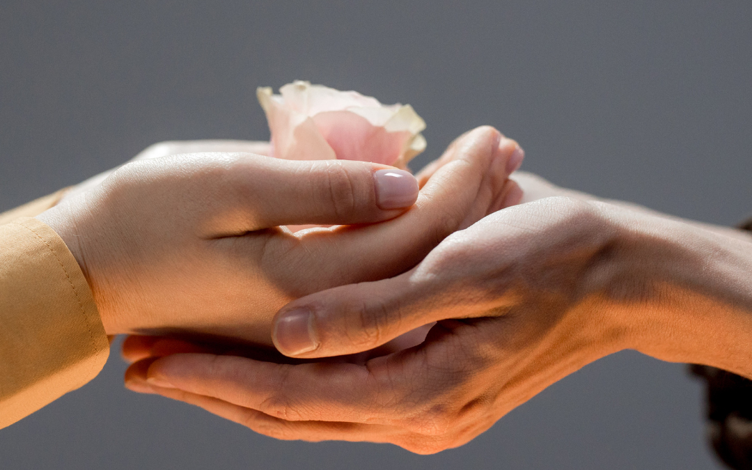 Sollicitude : l’art d’entreprendre avec bienveillance et empathie 