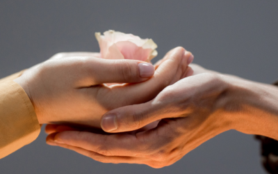 Sollicitude : l’art d’entreprendre avec bienveillance et empathie 